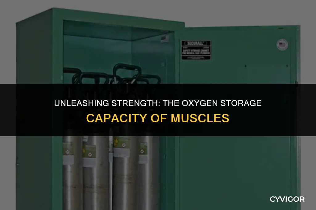 do muscles store more oxygen when they get stronger
