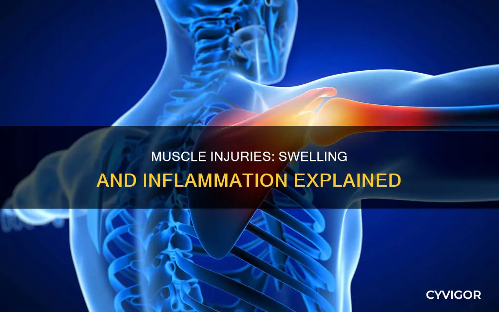 do muscles swell when injured