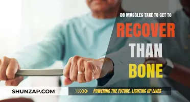 Muscle vs. Bone Recovery: Understanding the Healing Timeline