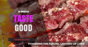 Do Muscles Taste Good? Exploring the Science Behind Meat Flavor
