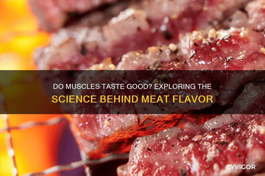 do muscles taste good
