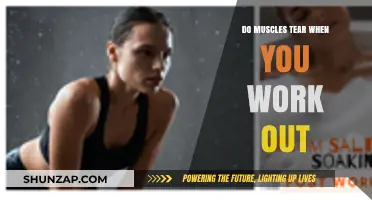 Do Muscles Tear During Workouts? Understanding Microtears and Recovery
