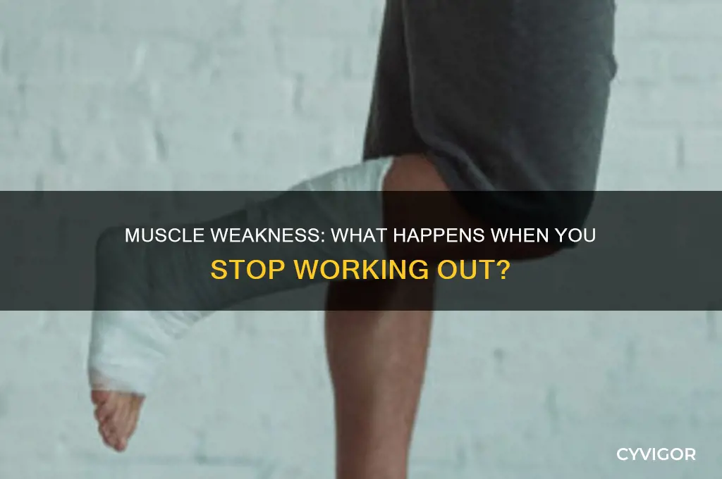 do muscles weaken if you do not work out