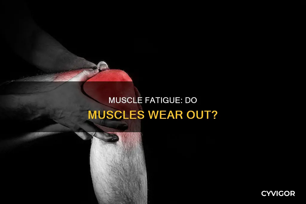 do muscles wear out