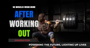 Muscle Weight Post-Workout: Fact or Fiction? Unveiling the Truth