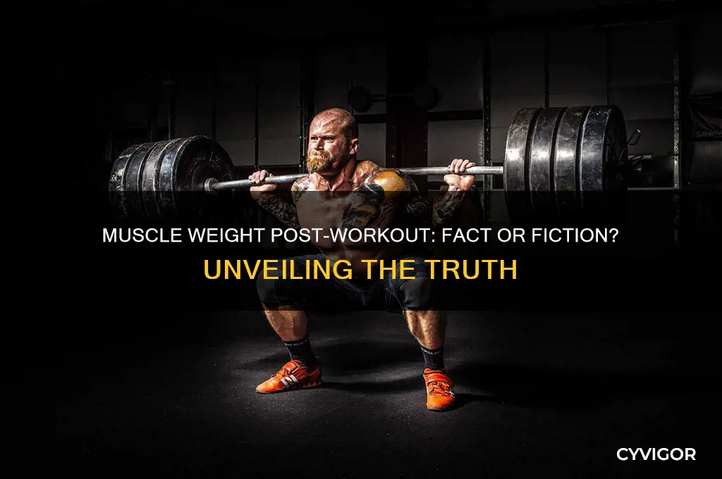 do muscles weigh more after working out