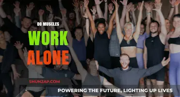 Muscles in Harmony: Unveiling the Teamwork Behind Every Movement