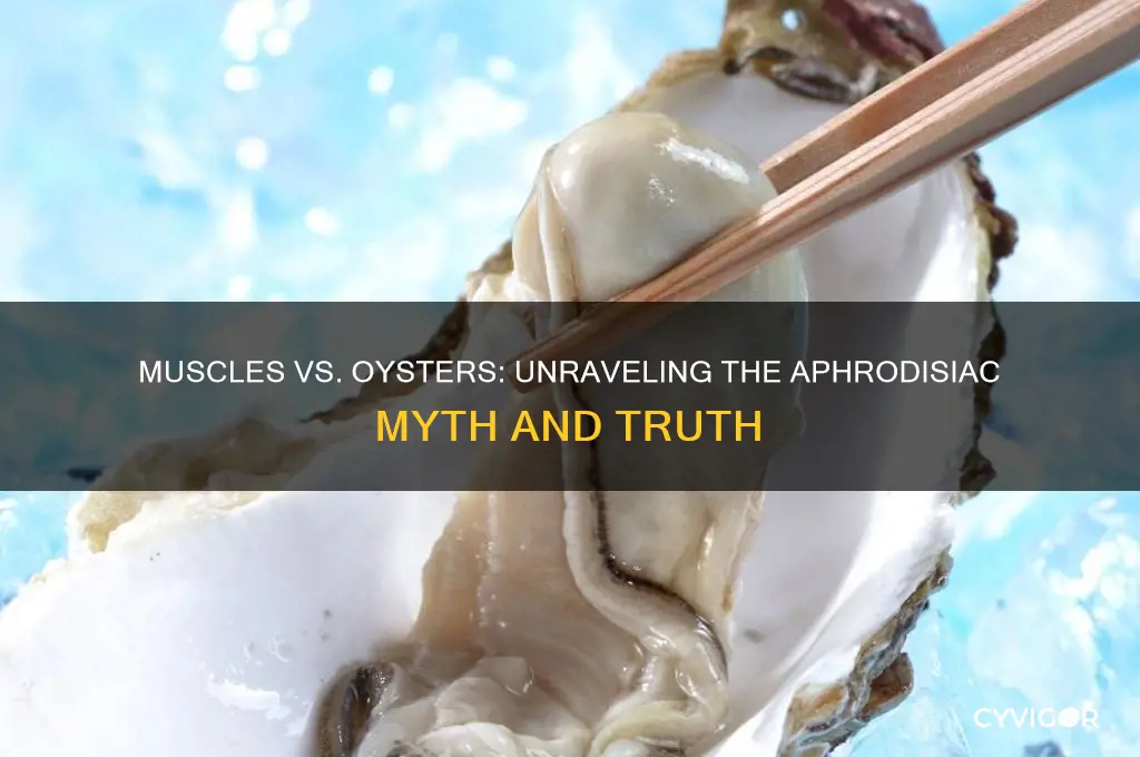 do muscles work like oysters as an aphrodisiac