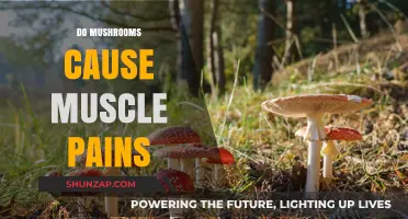 Mushrooms: Unveiling the Mystery Behind Muscle Pains