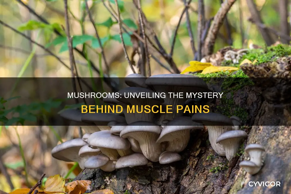 do mushrooms cause muscle pains