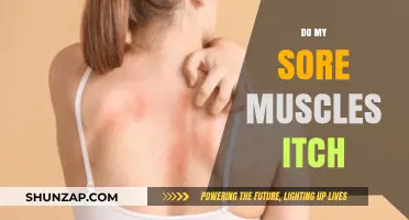 Why Sore Muscles Itch: Causes, Relief, and When to Worry