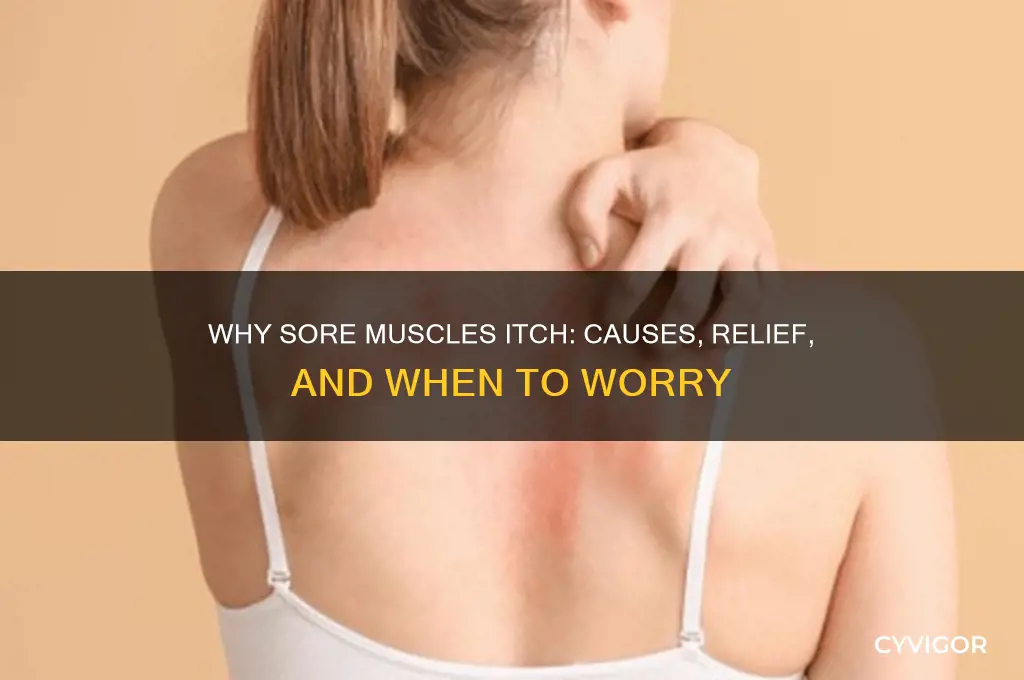 do my sore muscles itch