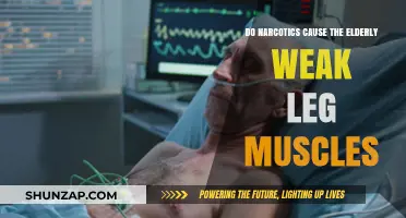 Elderly Leg Muscles and Narcotics: A Dangerous Mix?