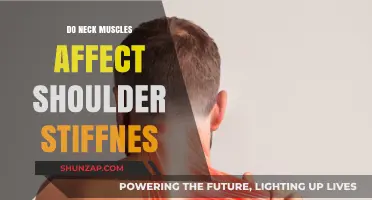 Exploring the Connection: Neck Muscles and Shoulder Stiffness