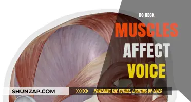 Exploring the Connection: How Neck Muscles Influence Your Voice
