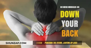 Understanding the Connection: Neck Muscles and Their Impact on Your Back