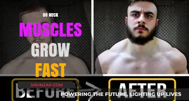 How Quickly Do Neck Muscles Grow? Training Tips and Facts
