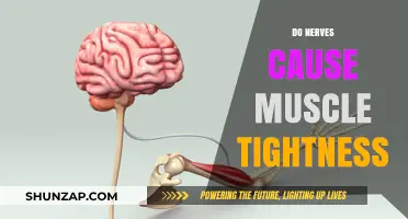 How Nerves and Muscle Tightness Are Linked