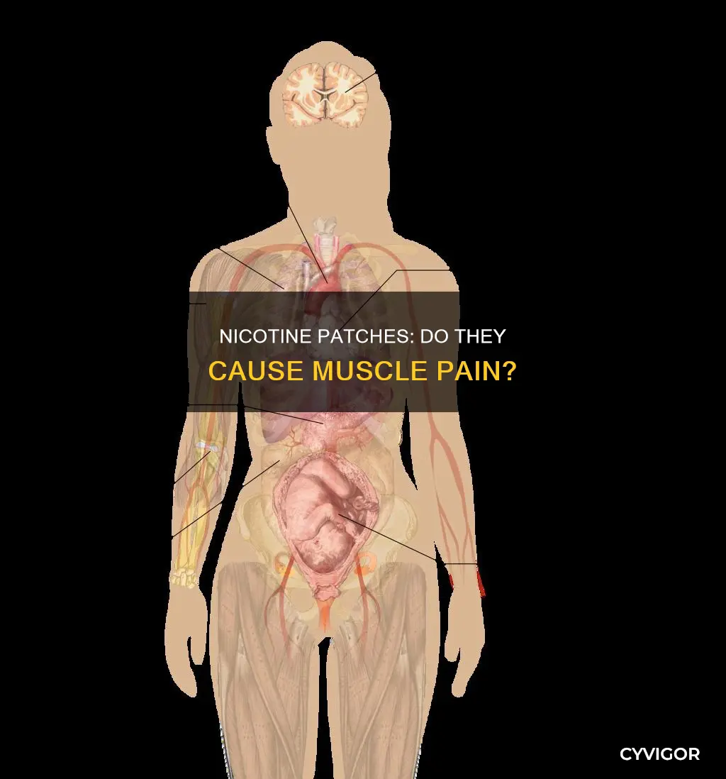 do nicotine patches cause muscle pain