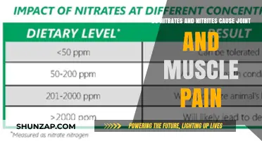 Nitrates, Nitrites, and Body Pain: Is There a Link?