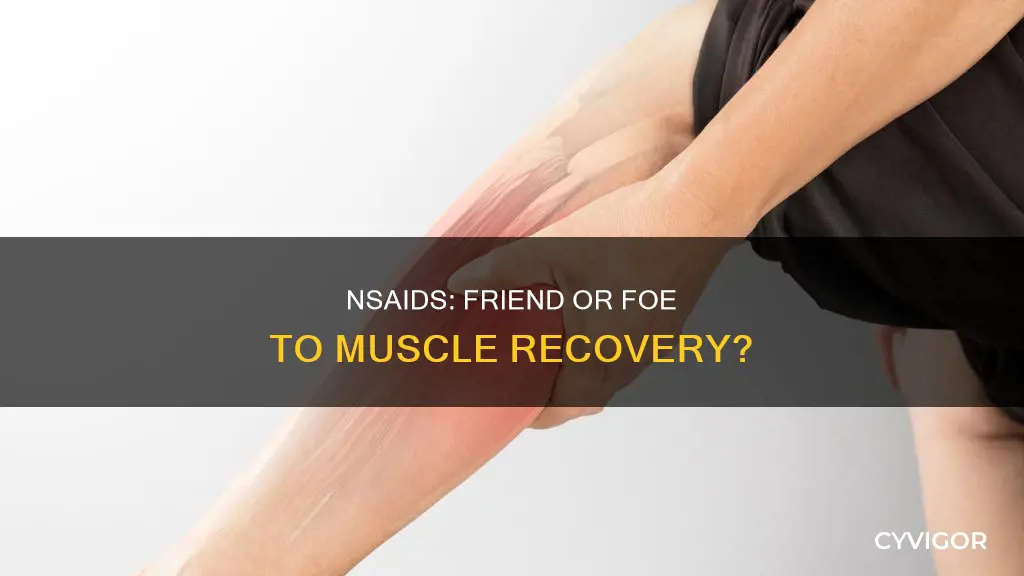 do nsaids slow muscle healing