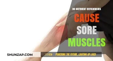 Nutrient Deficiencies: The Cause of Your Sore Muscles?