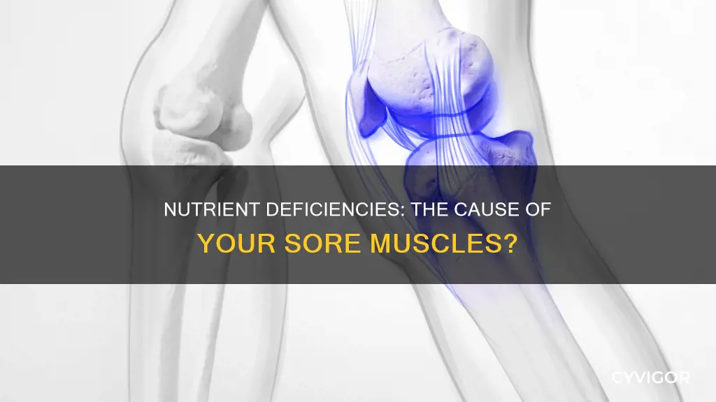 do nutrient deficiencies cause sore muscles