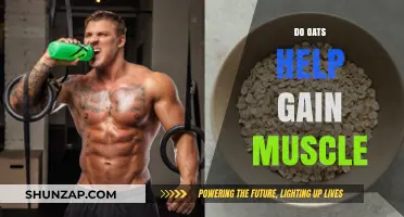 Oats for Muscle Gain: Fueling Your Fitness Goals Naturally