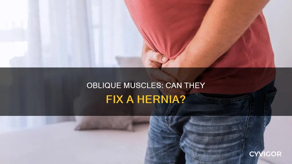 do oblique muscles fix hernia