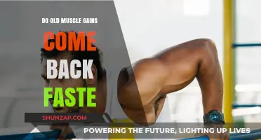 Reviving Lost Muscle: How Quickly Do Old Gains Return?