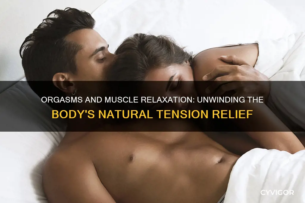 do orgasms relax muscles