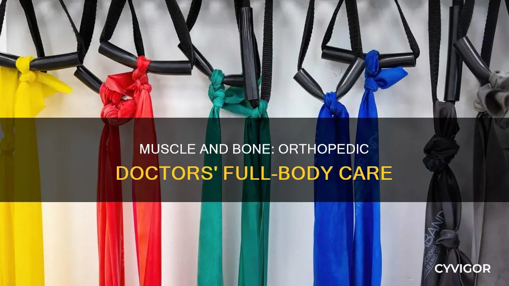 do ortheopedists worj with muscles