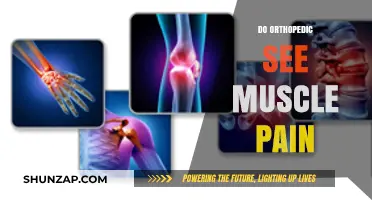 Do Orthopedic Specialists Treat Muscle Pain? Understanding Their Role