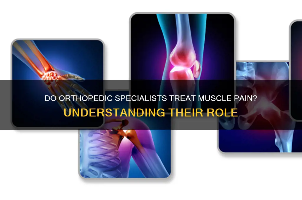 do orthopedic see muscle pain