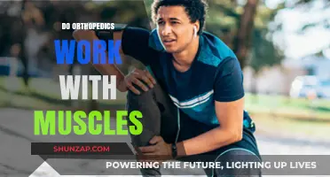 Orthopedics and Muscles: Understanding Their Role in Musculoskeletal Health