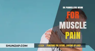 Do Painkillers Effectively Relieve Muscle Pain? Exploring the Evidence
