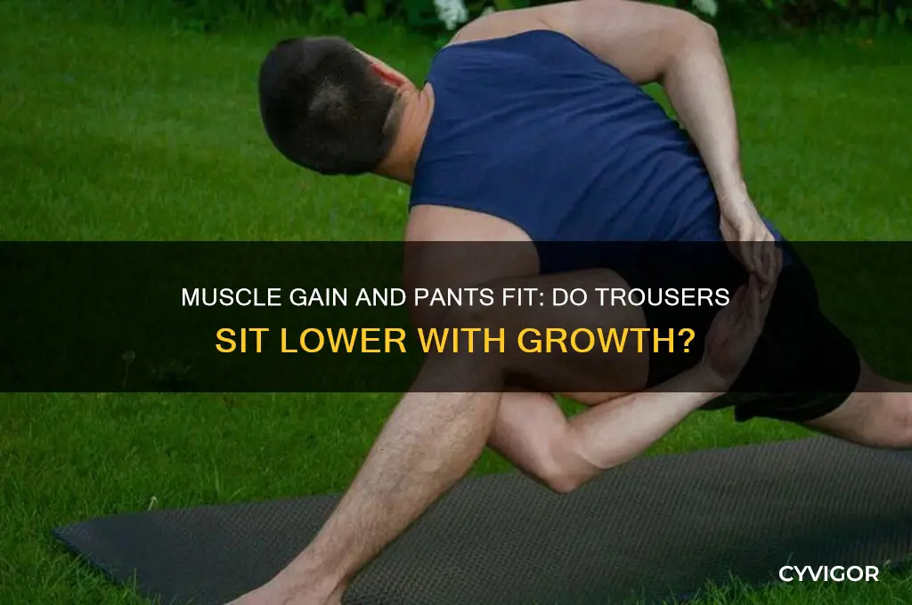 do pants sit lower when youre gaining muscle