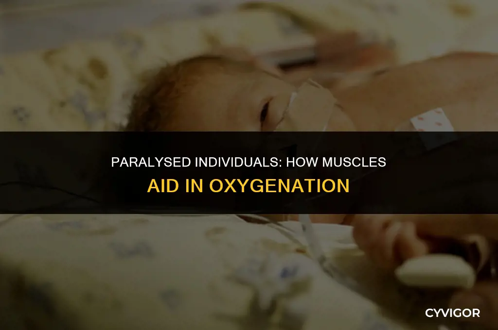 do paralzted people have a get oxygen through their muscles