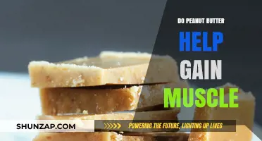 Peanut Butter for Muscle Gain: A Nutritious Protein Boost?