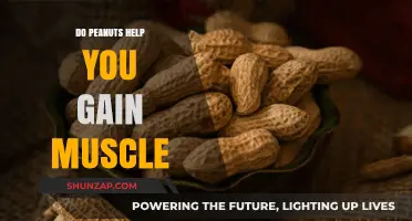 Peanuts and Muscle Gain: A Nutritious Snack for Strength?