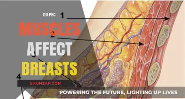 Exploring the Connection: Do Pec Muscles Influence Breast Appearance?