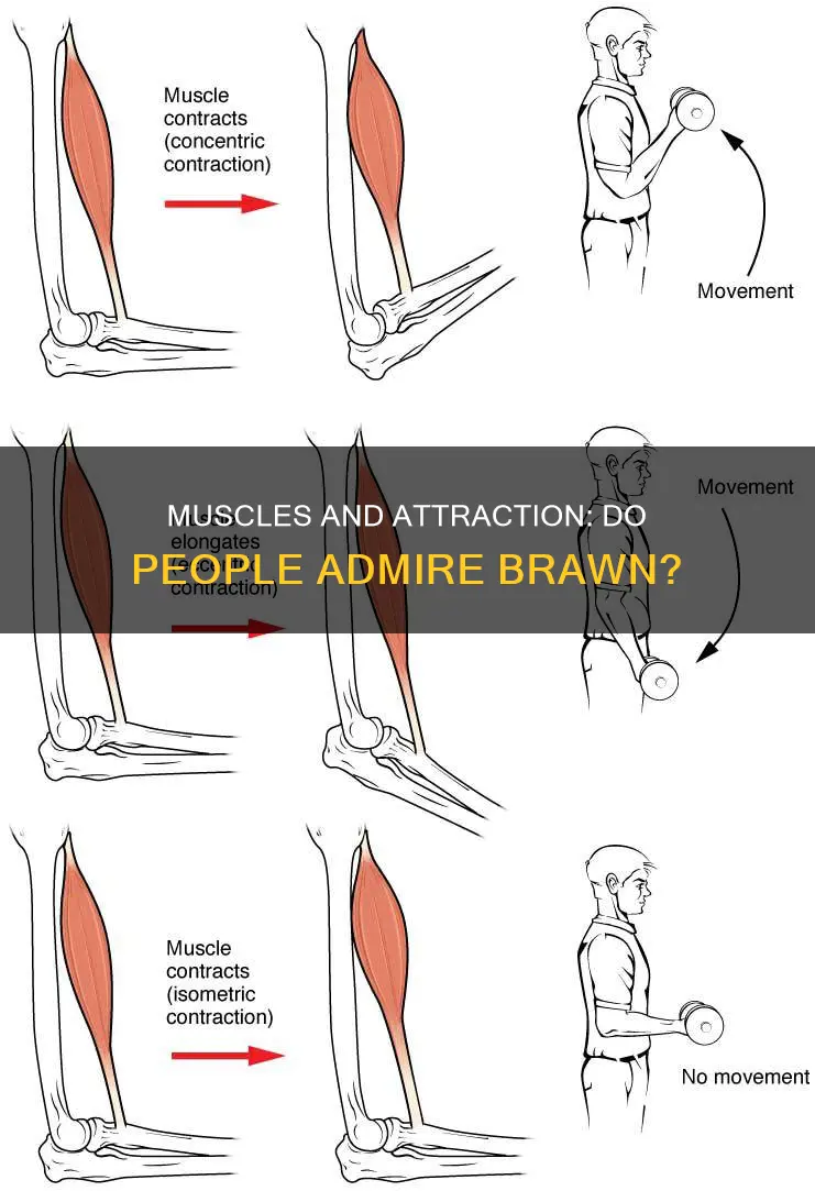 do people admire muscles