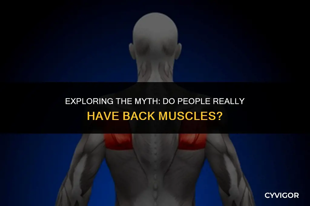 do people have back muscle