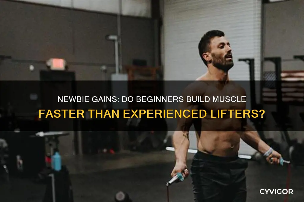 do people new to lifting gain muscle faster