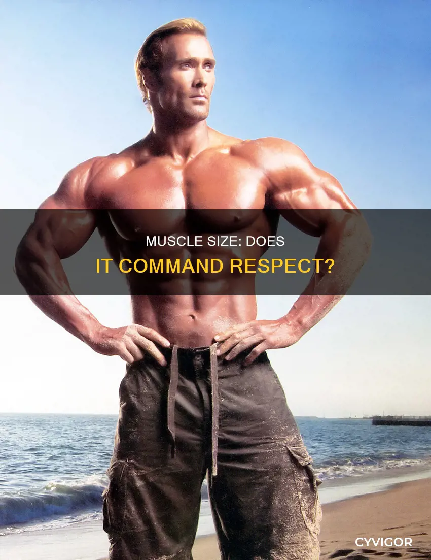 do people respect muscle size