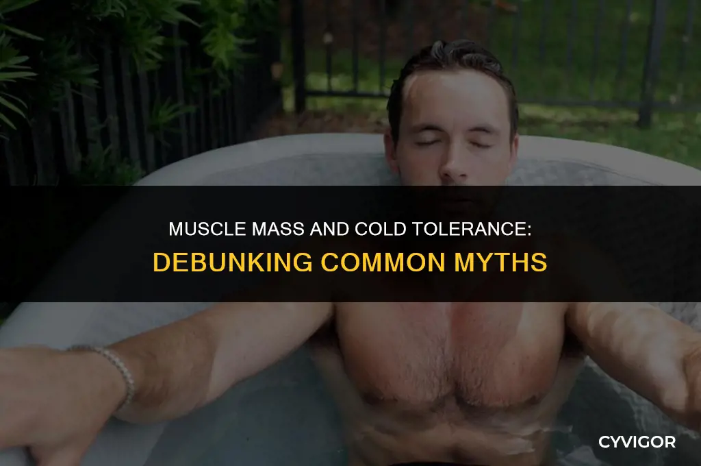 do people with more muscle get colder faster