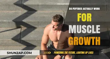 Do Peptides Deliver Real Muscle Growth Results? Science Explained