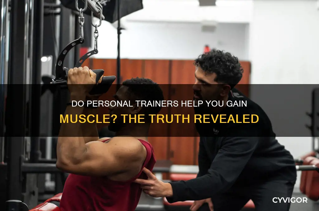 do personal trainer help you gain muscle