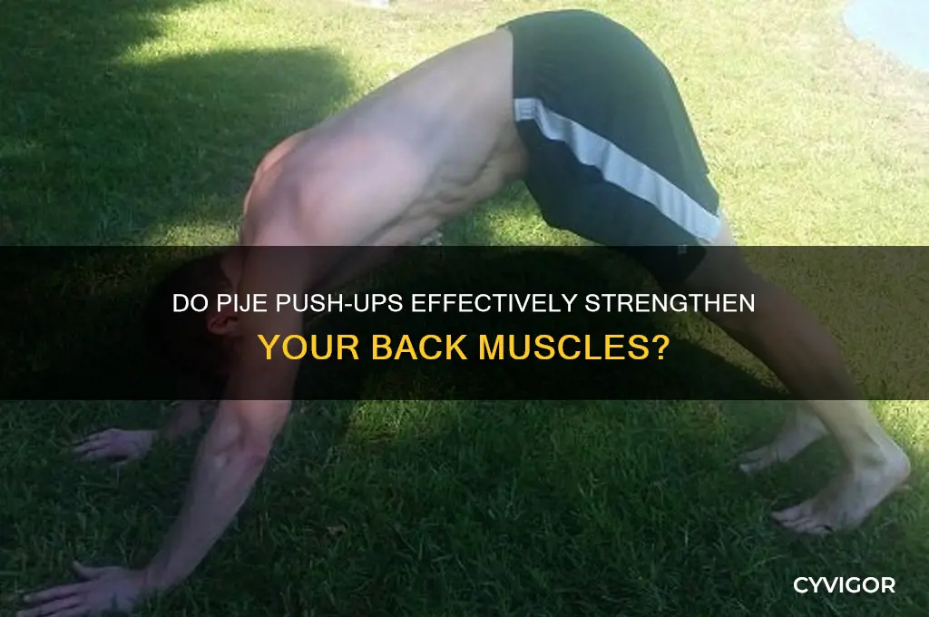 do pije push ups work back muscles
