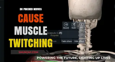 Pinched Nerves and Muscle Twitching: What's the Connection?